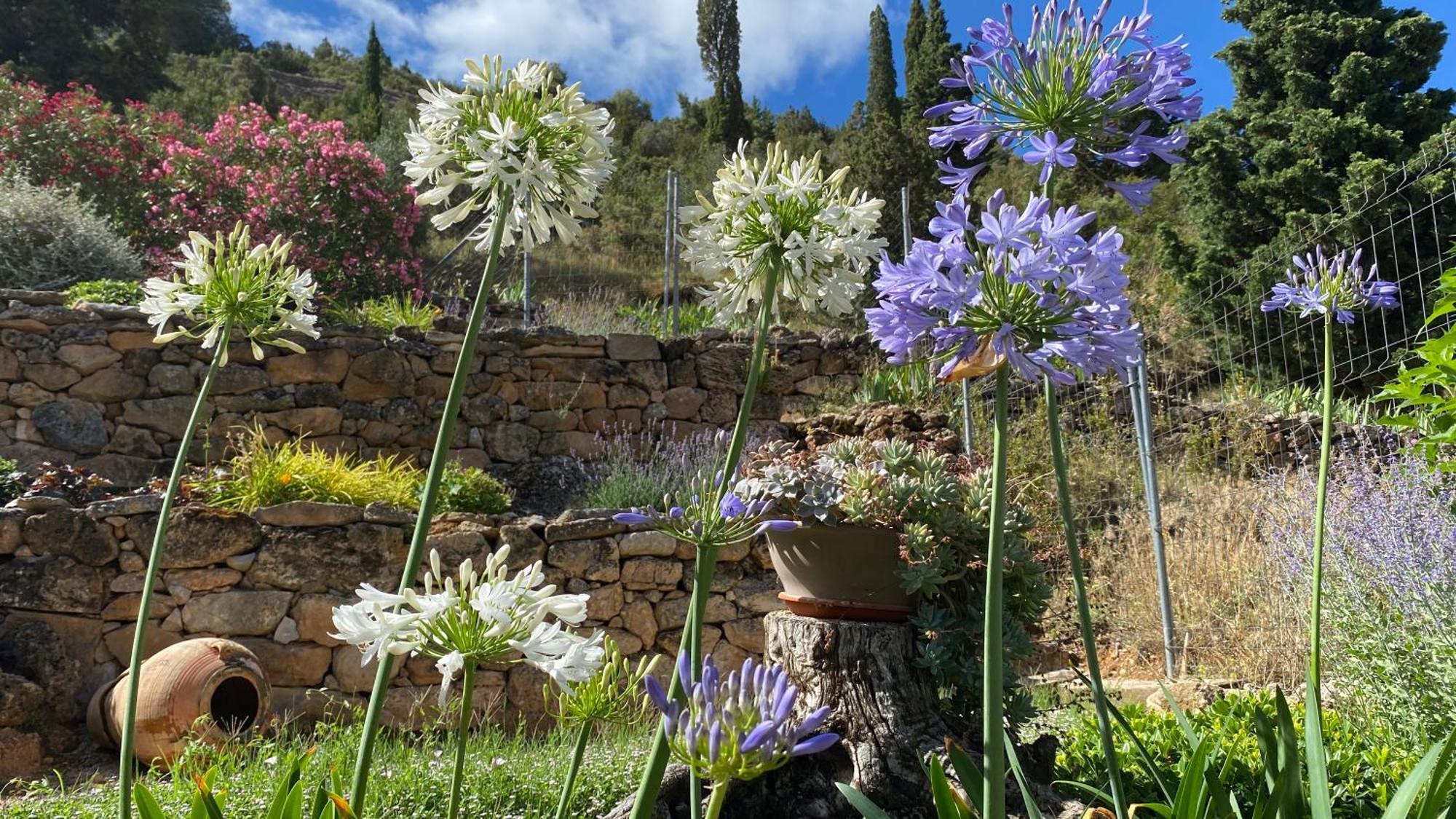 Apartamentos Casa Lola Rodeados De Montanas Y Rios Beceite Buitenkant foto
